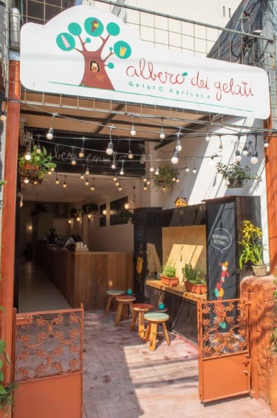 Albero dei Gelati (Itaim)