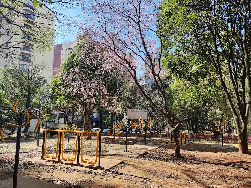 Espaço Pet Manchinha