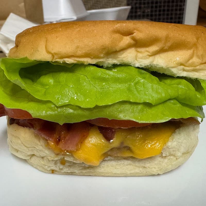 Flash Burger Hamburguer Artesanal