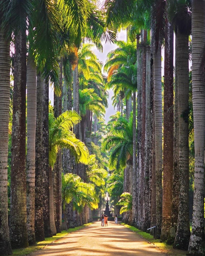 Jardim Botânico