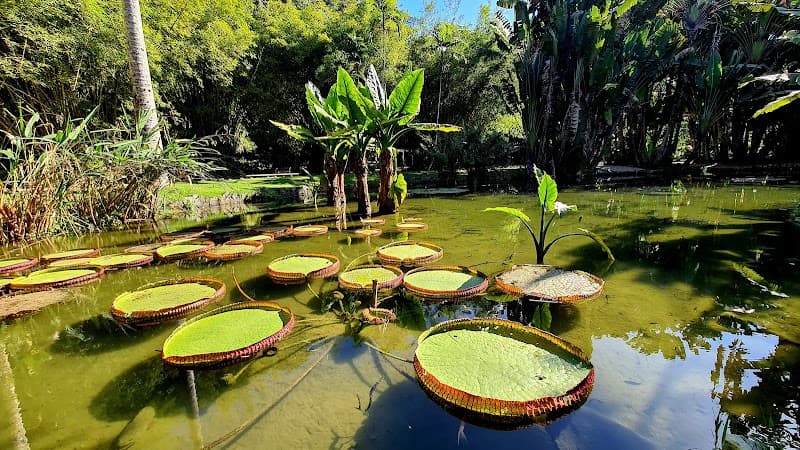 Lago Frei Leandro