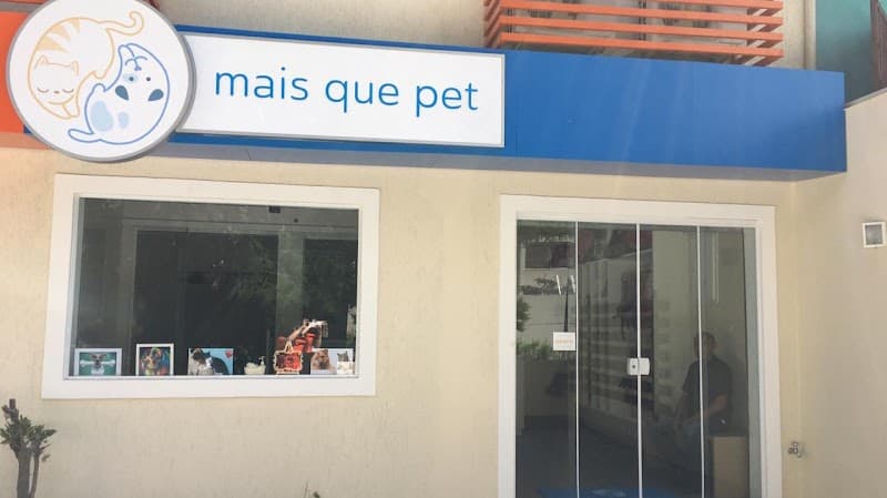 Mais que Pet - Vila Mascote. Banho e Tosa, Hidratação, Desembolo, Banho terapêutico de Ozônio, Brinquedos, Premier, Shih Tzu