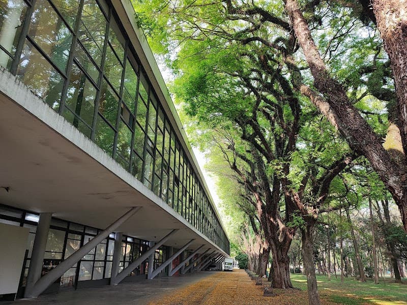 Museu Afro Brasil Emanoel Araujo