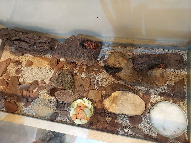 Museu do Instituto Biológico