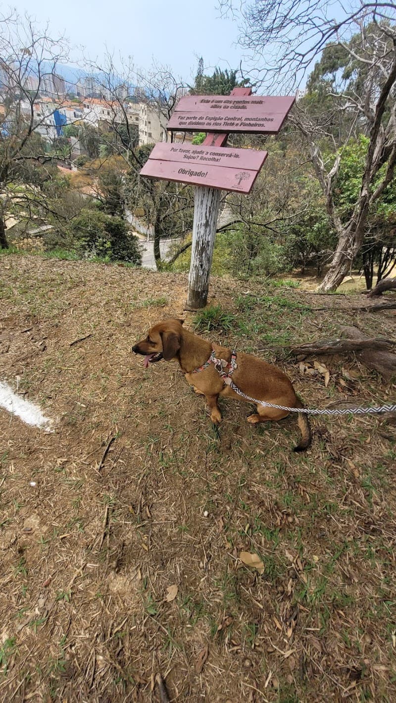 ParCão Lapa - Praça Amadeu Decome