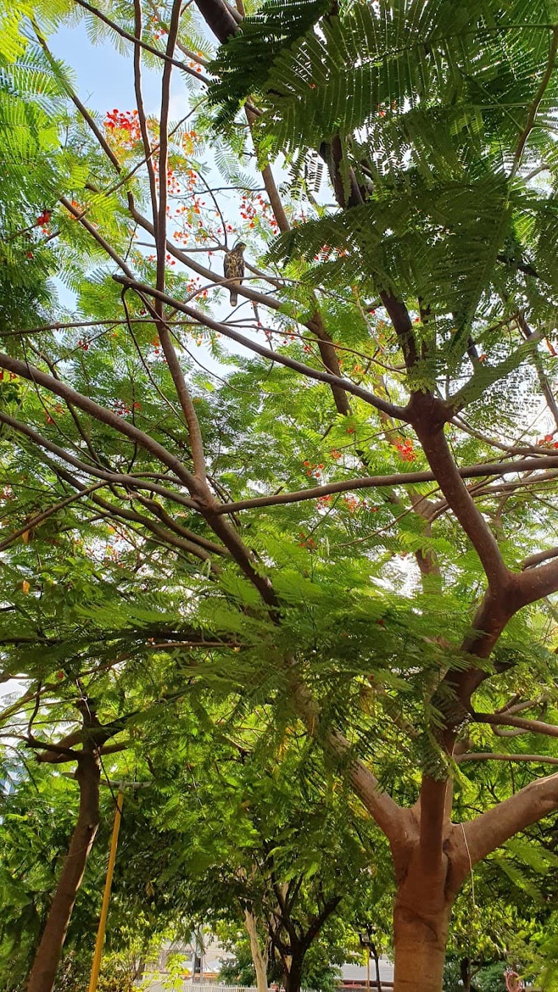 Praça Nelson Mandela