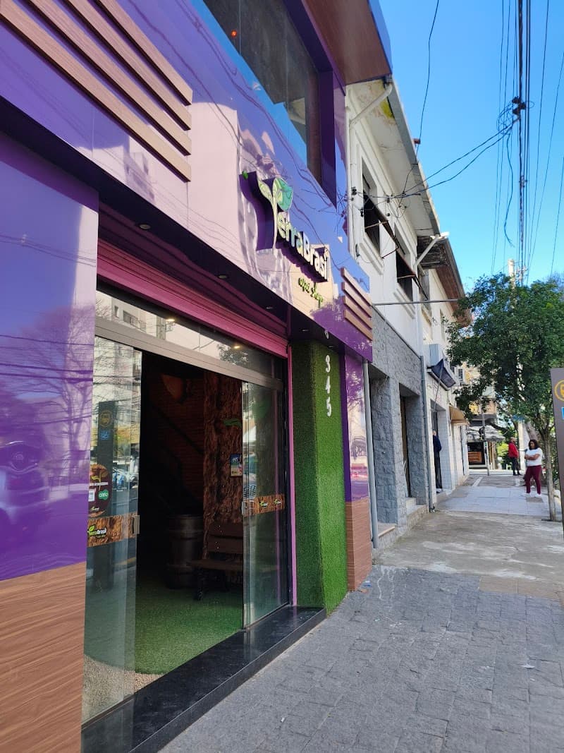 Terra Brasil Açaí Vila Mariana